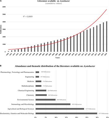 Frontiers Nitrogen Fixing Azotobacter Species As Potential Soil Biological Enhancers For Crop Nutrition And Yield Stability Microbiology