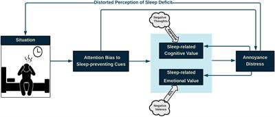 Frontiers | Conceptual Framework for Insomnia: A Cognitive ...