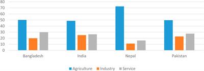 Malayalamschool Milk Sex - Frontiers | Socio-Economic Implications of COVID-19 Pandemic in South Asia:  Emerging Risks and Growing Challenges