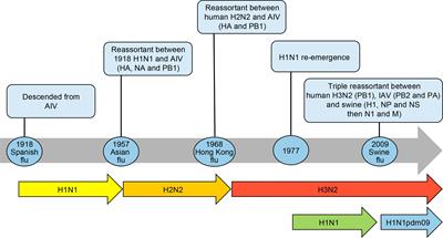 Frontiers Pandemics Throughout History Microbiology