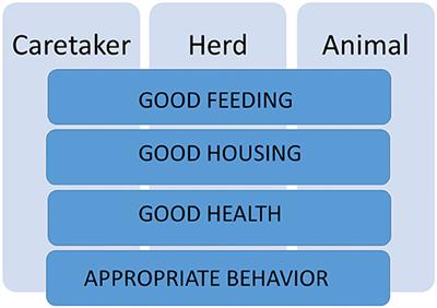 Frontiers The First Protocol For Assessing Welfare Of Camels Veterinary Science