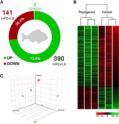 Carvacrol Thymol And Garlic Essential Oil Promote Skin Innate Immunity In Gilthead Seabream Sparus Aurata Through The Multifactorial Modulation Of The Secretory Pathway And Enhancement Of Mucus Protective Capacity Immunology Frontiers
