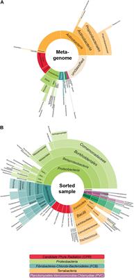 Frontiers  Decoding the microbial universe with metagenomics: a brief  insight