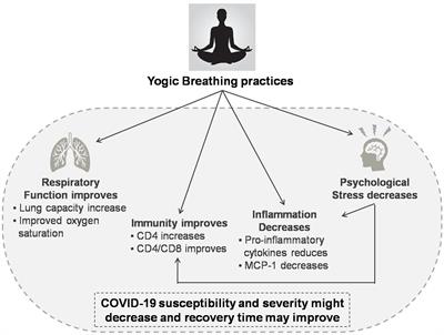 Frontiers Can Yogic Breathing Techniques Like Simha Kriya And Isha Kriya Regulate Covid 19 Related Stress Psychology