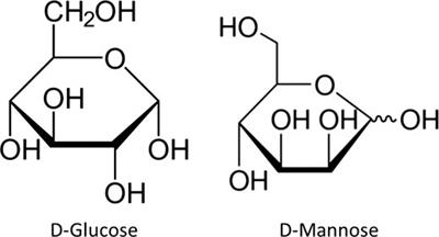 d mannose how long to take