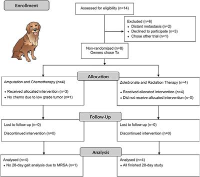 Canine Osteosarcoma As A Model In Comparative Oncology Advances And Perspective Frontiers Research Topic