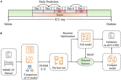 Frontiers | A Machine-Learning Approach for Dynamic Prediction of ...