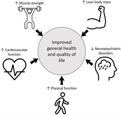 Frontiers  A single-set functional training program increases muscle  power, improves functional fitness, and reduces pro-inflammatory cytokines  in postmenopausal women: A randomized clinical trial