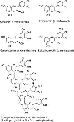 Frontiers Regulation Of Enteric Infection And Immunity By Dietary Proanthocyanidins Immunology