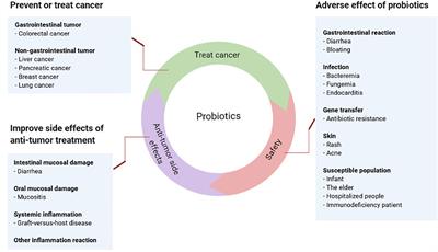 Probiotics in Cancer - Frontiers