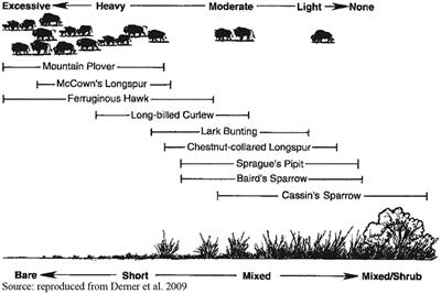 Frontiers Grazing Into The Anthropocene Or Back To The Future Sustainable Food Systems