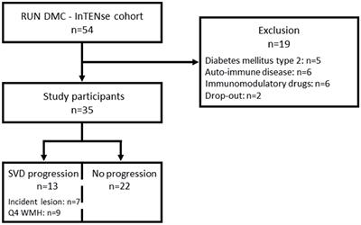 Frontiers Pro Inflammatory Monocyte Phenotype During Acute Progression Of Cerebral Small Vessel Disease