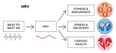 Accurate Heart Rate Detection using Computer Vision