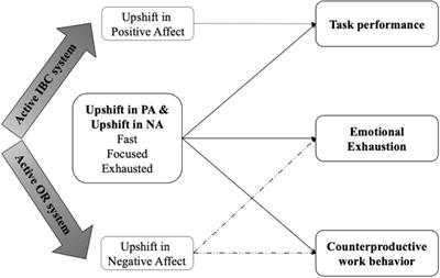 Shift work and its effect on performance. Objectives.. Definition