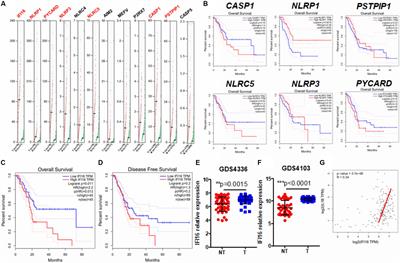 Hallmark of human cancers