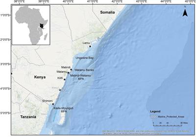 Hawaii Kenya Africa Map Frontiers | Cetacean Research And Citizen Science In Kenya | Marine Science