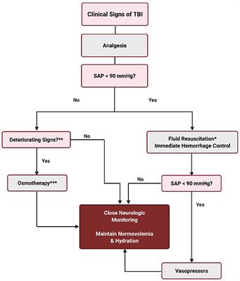 Extracellular Materials And Fluids Concept Map Frontiers | Traumatic Brain Injury—A Review Of Intravenous Fluid Therapy |  Veterinary Science