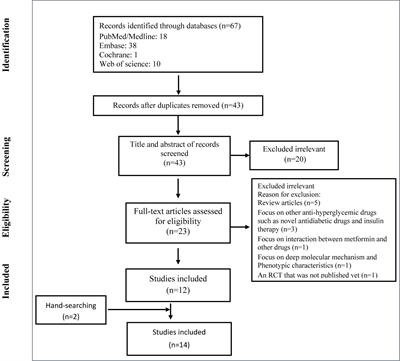 a diabetes mellitus kezelése 2 metformin)
