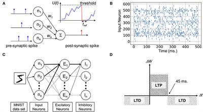 Frontiers  Synaptic Plasticity in Memristive Artificial Synapses