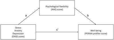 Frontiers Mental Health Well Being And Psychological Flexibility In The Stressful Times Of The Covid 19 Pandemic Psychology