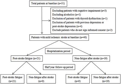 frontiers risk factors and imaging mechanisms of fatigue after mild ischemic stroke an exploratory study from a single chinese center neurology