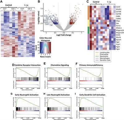 Chronic E Cigarette Aerosol Inhalation Alters The Immune State Of The Lungs And Increases Ace2 Expression Raising Concern For Altered Response And Susceptibility To Sars Cov 2 Physiology Frontiers