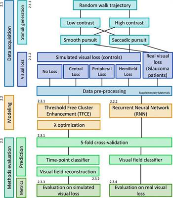 Frontiers Opportunities and Limitations of a Gaze-Contingent Display to Simulate Visual Field Loss in Driving Simulator Studies