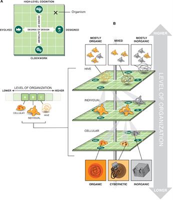 One of the most useful metaphors for driving scientific and engineering progress has been that of the “machine”. Much controversy exists about the