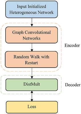 Frontiers | GADTI: Graph Autoencoder Approach for DTI Prediction From ...