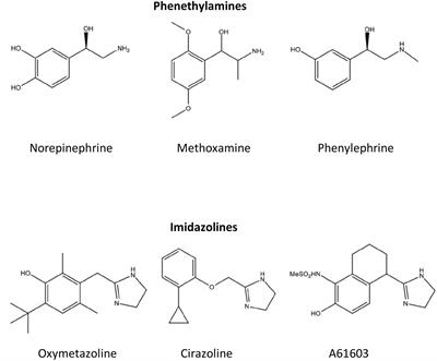 Frontiers Current Developments On The Role Of A1 Adrenergic Receptors In Cognition Cardioprotection And Metabolism Cell And Developmental Biology Frontiers Current Developments On The Role Of A1 Adrenergic Receptors In Cognition Cardioprotection And Metabolism Cell And Developmental Biology