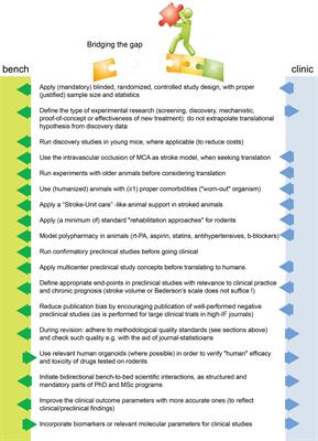 Frontiers Translational Block In Stroke A Constructive And Out Of The Box Reappraisal Neuroscience Frontiers Translational Block In Stroke A Constructive And Out Of The Box Reappraisal Neuroscience