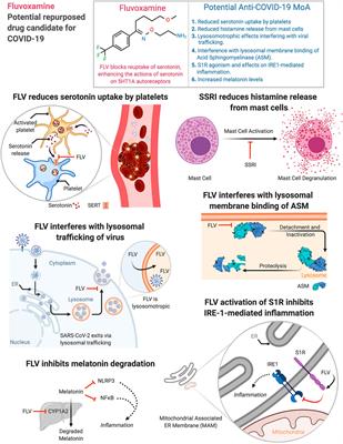 Fluvoxamine is a well-tolerated, widely available, inexpensive selective serotonin reuptake inhibitor (SSRI) that has been shown in a small, double-bl