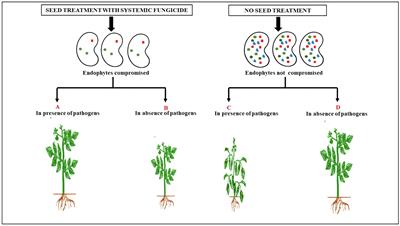 Seed Treatment With Systemic Fungicides: Time for Review