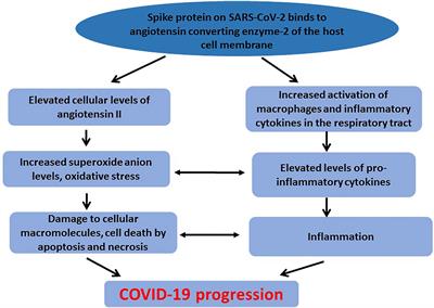 Extra high superoxide dismutase in host tissue is associated with