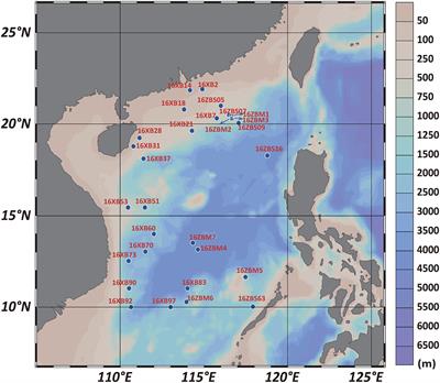 Frontiers Diversity And Distribution Of Uncultured And Cultured Gaiellales And Rubrobacterales In South China Sea Sediments