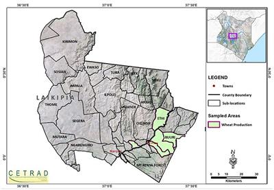 Frontiers Assessing Smallholder Farmer S Participation In The Wheat Value Chain In North West Mt Kenya Sustainable Food Systems