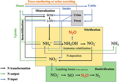 Reduction of N2O-emission through advanced online-control