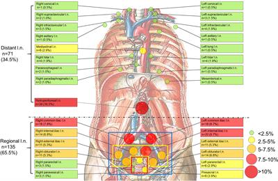 Frontiers | The Establishment Of New Thresholds For Plnd-Validated Clinical  Nomograms To Predict Non-Regional Lymph Node Metastases: Using 68Ga-Psma  Pet/Ct As References