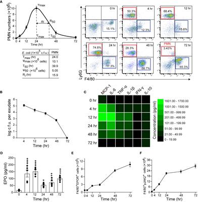 Erythropoietin Promotes Infection Resolution And Lowers Antibiotic Requirements In E Coli And S Aureus Initiated Infections Immunology Frontiers