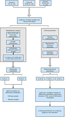 Frontiers | How to Screen and Prevent Metabolic Syndrome in Patients of ...