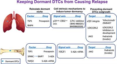 Frontiers Innovative Approaches In The Battle Against Cancer Recurrence Novel Strategies To Combat Dormant Disseminated Tumor Cells Oncology Frontiers Innovative Approaches In The Battle Against Cancer Recurrence Novel Strategies To Combat Dormant Disseminated Tumor Cells Oncology