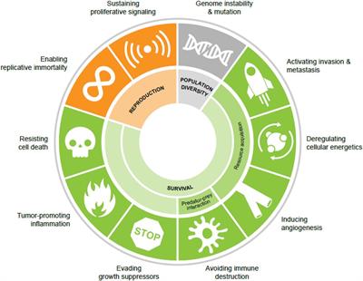 Frontiers The Hallmarks Of Cancer As Ecologically Driven Phenotypes Ecology And Evolution