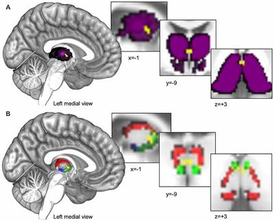 On Biology Brain Awareness Week 2018 quiz