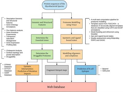 Frontiers Structure Guided Computational Approaches To Unravel Druggable Proteomic Landscape Of Mycobacterium Leprae Molecular Biosciences