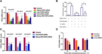 Frontiers | Suppression of FGF5 and FGF18 Expression by  Cholesterol-Modified siRNAs Promotes Hair Growth in Mice