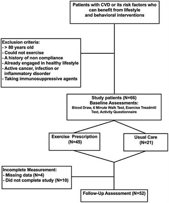 Frontiers Modest Gains After An 8 Week Exercise Program Correlate With Reductions In Non Traditional Markers Of Cardiovascular Risk Cardiovascular Medicine