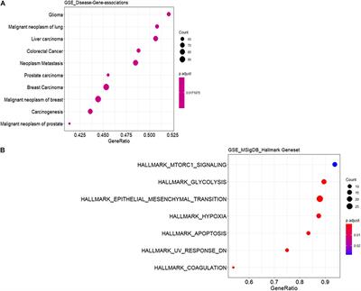 Frontiers Igfbp2 Is A Potential Master Regulator Driving The Dysregulated Gene Network Responsible For Short Survival In Glioblastoma Multiforme Genetics