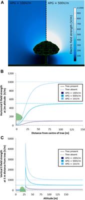 Frontiers Tree Canopies Influence Ground Level Atmospheric Electrical And Biogeochemical Variability Earth Science