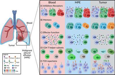 On september 10, every kill brings him closer to you. Malignant - Frontiers Malignant Pleural Effusions A Window Into Local Anti Tumor T Cell Immunity Oncology