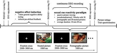 400px x 181px - Frontiers | The Impact of Negative Mood on Event-Related Potentials When  Viewing Pornographic Pictures